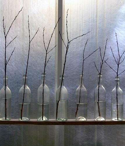 Saules en culture, 2004. 