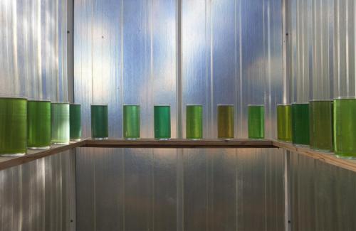 Vue intérieure, Germinoscope 2, tubes de verre avec colorant, Penne du Tarn, 2013.
