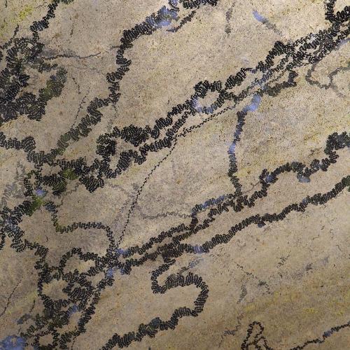 Traces, photographie imprimée sur bâche, 2019. 