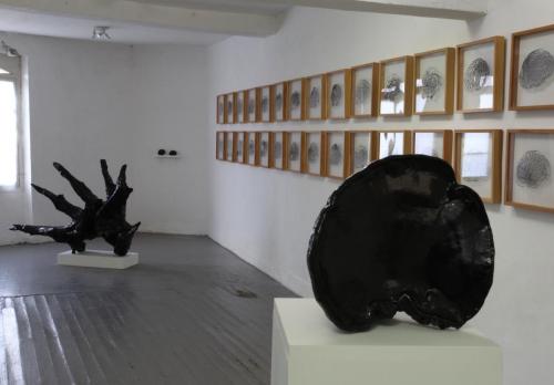 Dark Bio Diversity, vue d'ensemble au Salon reçoit (Toulouse), 2016. 