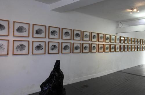 Dark Bio Diversity, vue d'ensemble au Salon reçoit (Toulouse), 2016. 