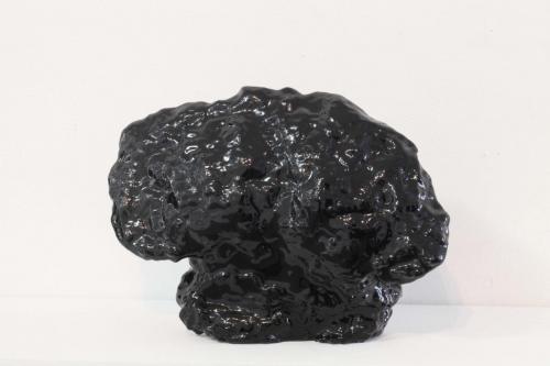 Sans titre, 2016, champignon englué dans de la résine. Dimensions variables. 