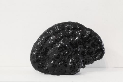 Sans titre, 2016, champignon englué dans de la résine. Dimensions variables. 