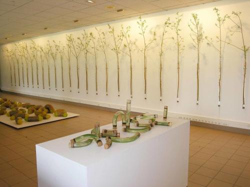 Vue d'ensemble, Toulouse, 2007.