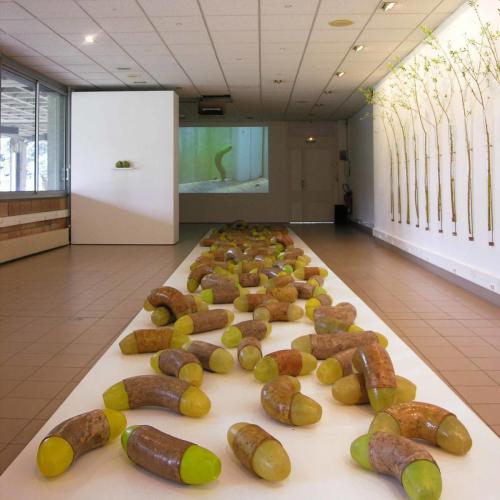 100 cocons, 2007, tubes de verre à droite, video en fond. 