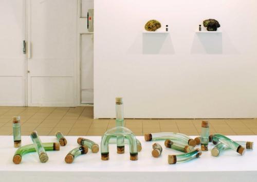 2007. Tubes de verre, eau de mare.