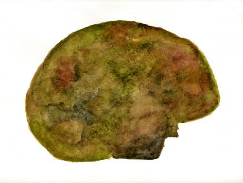 Aquarelle préparatoire, 2010. 