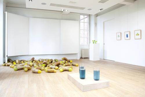 Salles 2 - Vue d'ensemble