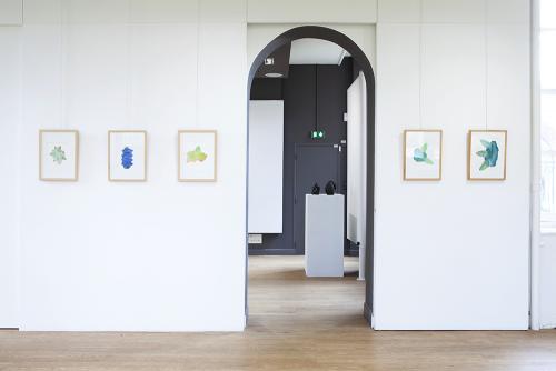 Salle 2/3 - Aquarelles préparatoires et champignons dans résine noire en arrière-plan