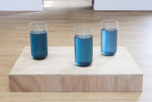 Salle 2 - Flacons avec spiruline