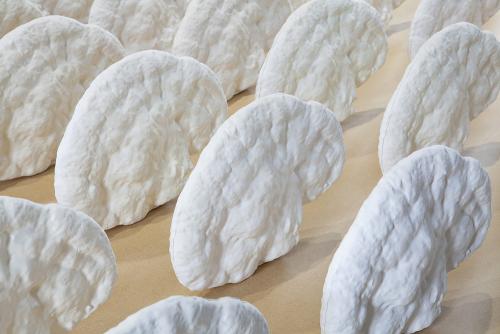 Salle 3 - "Cerveaux" en plâtre