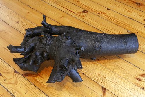 Salle 1 - Tronc peint en noir (détail)