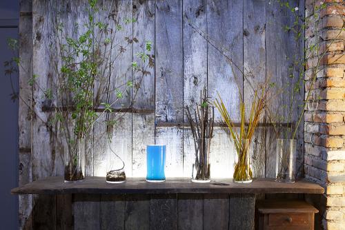 Tiges de saule en bouteilles et divers 